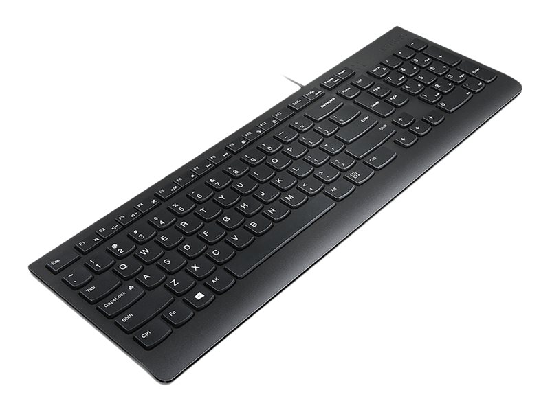 Lenovo Essential - Tastatur - USB - Dänisch - Schwarz