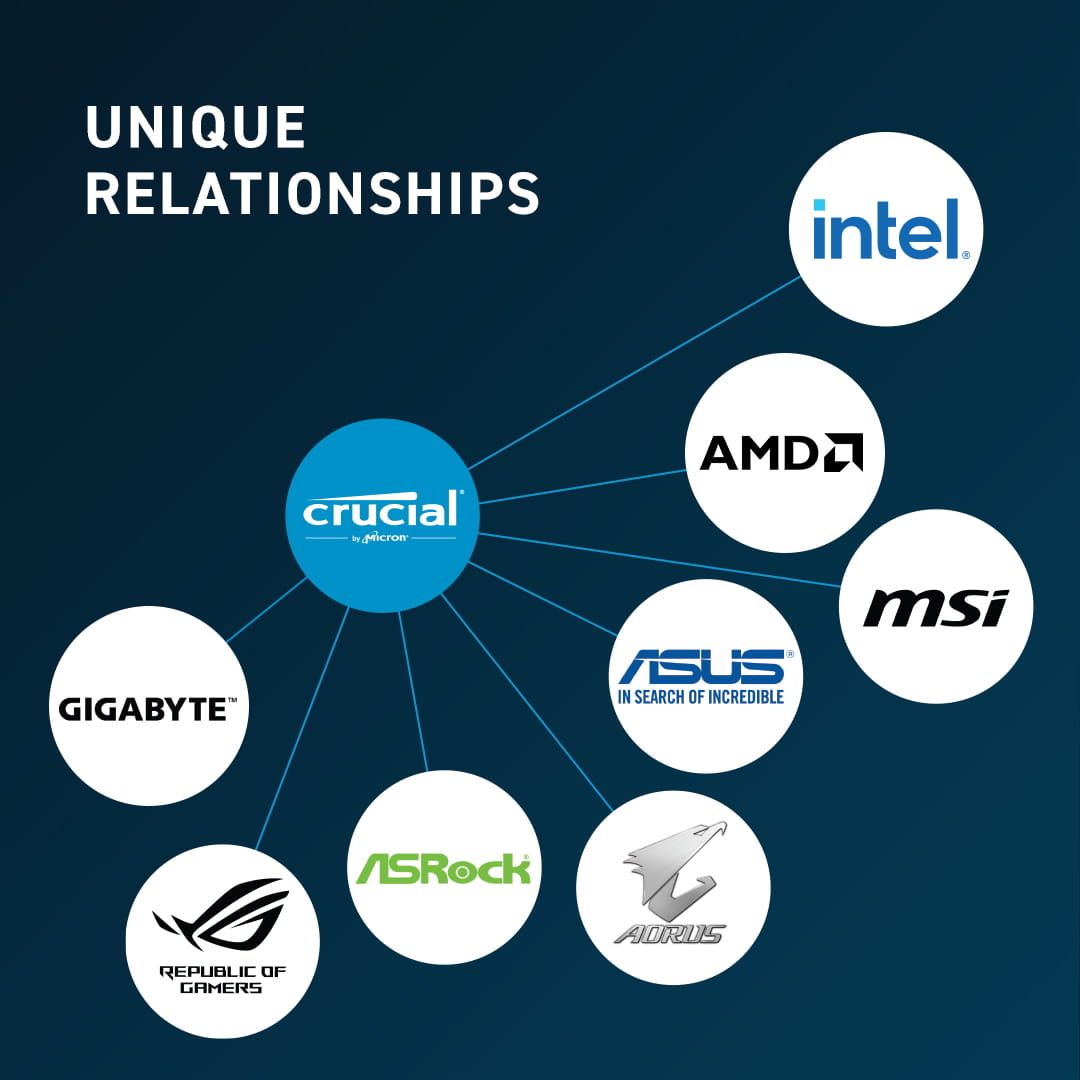 Crucial DDR5 - Modul - 16 GB - DIMM 288-PIN