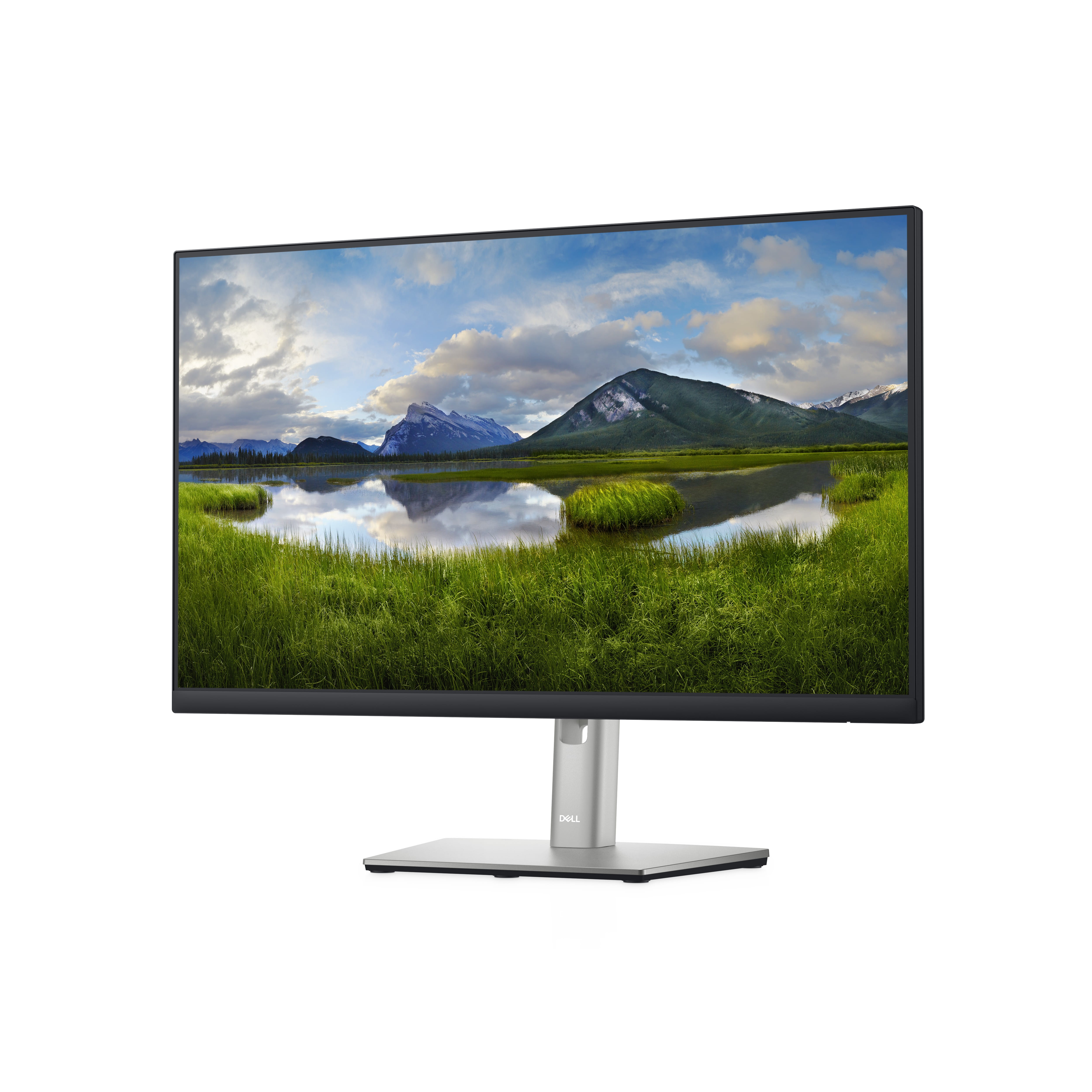 Dell P2422H - LED-Monitor - 60.47 cm (24") - 1920 x 1080 Full HD (1080p)