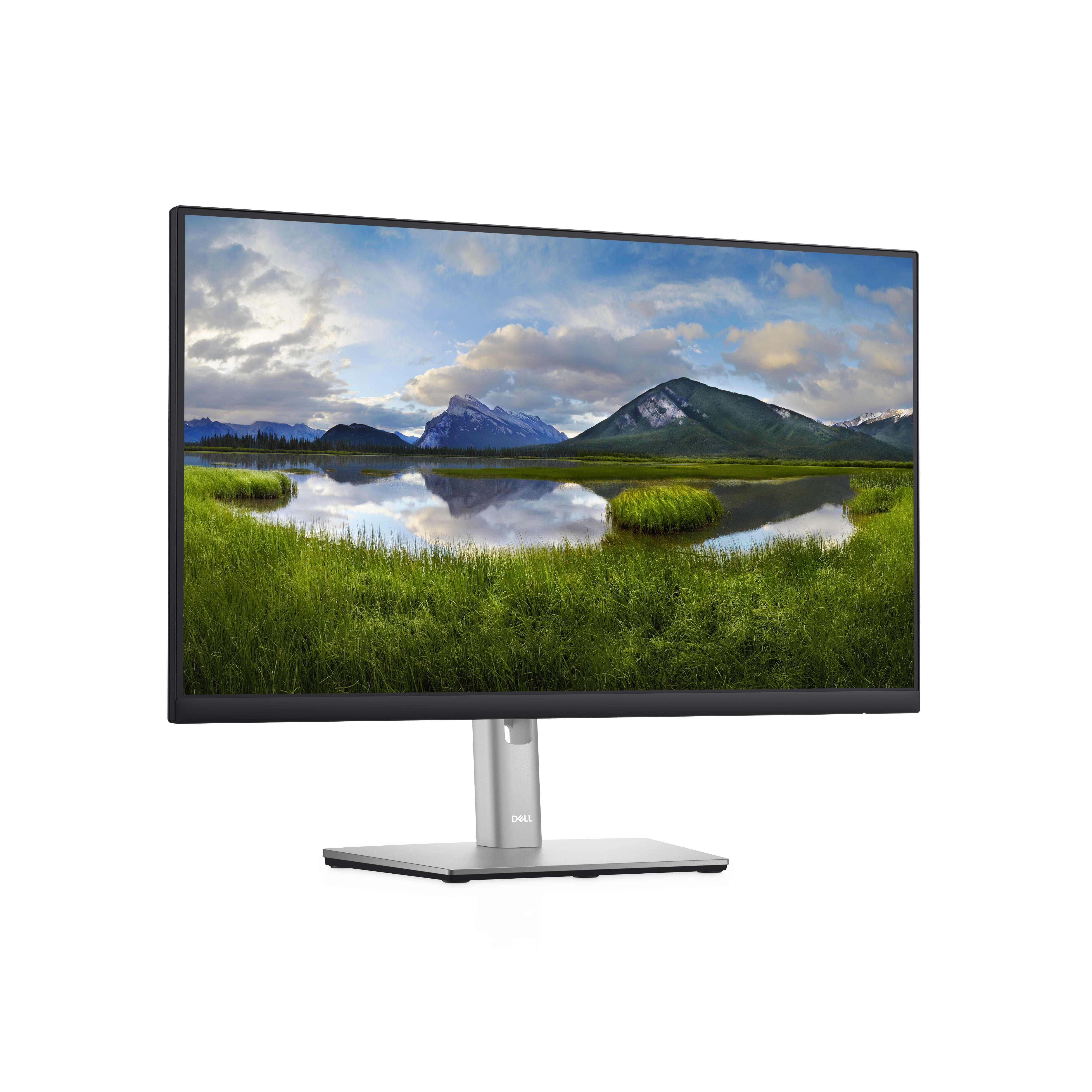 Dell P2422H - LED-Monitor - 60.47 cm (24") - 1920 x 1080 Full HD (1080p)