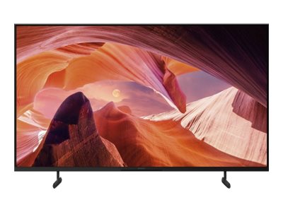 Sony Bravia Professional Displays FWD-43X80L - 108 cm (43")