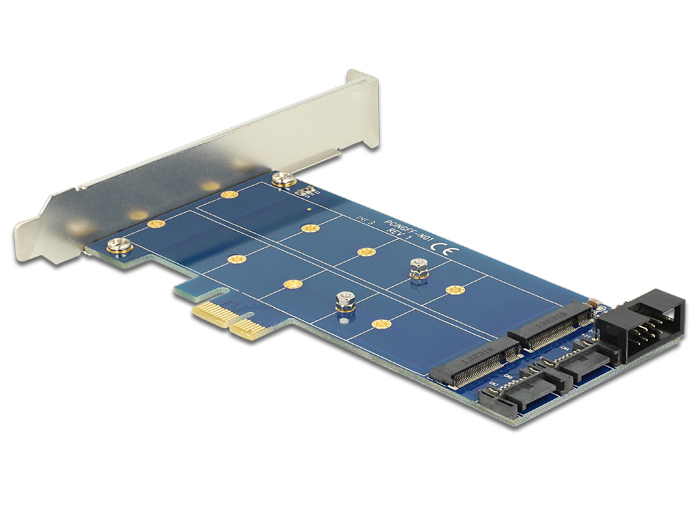 Delock PCI Express Card > 2 x internal M.2 NGFF