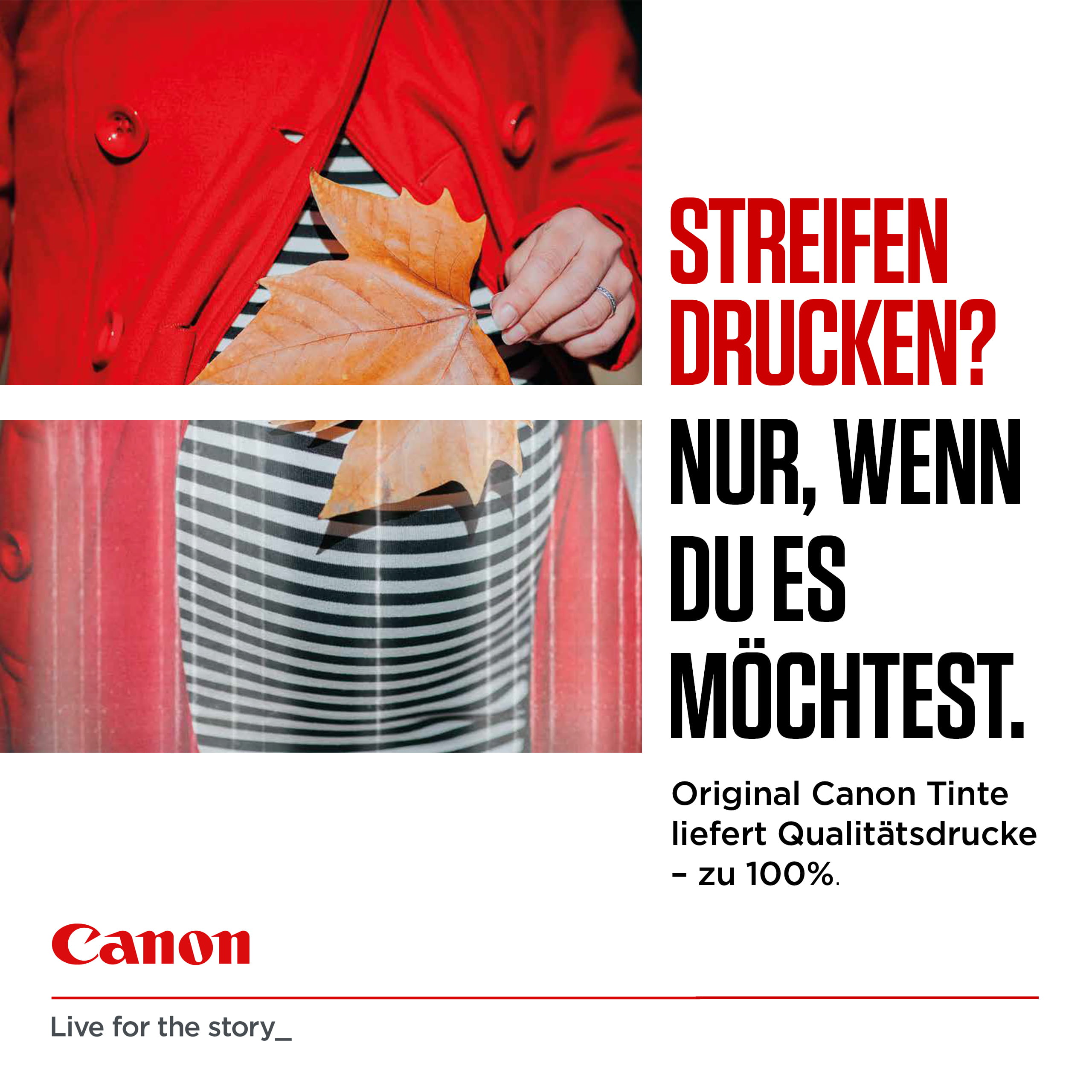 Canon PG-540L - 11 ml - L-Größe - Schwarz - original