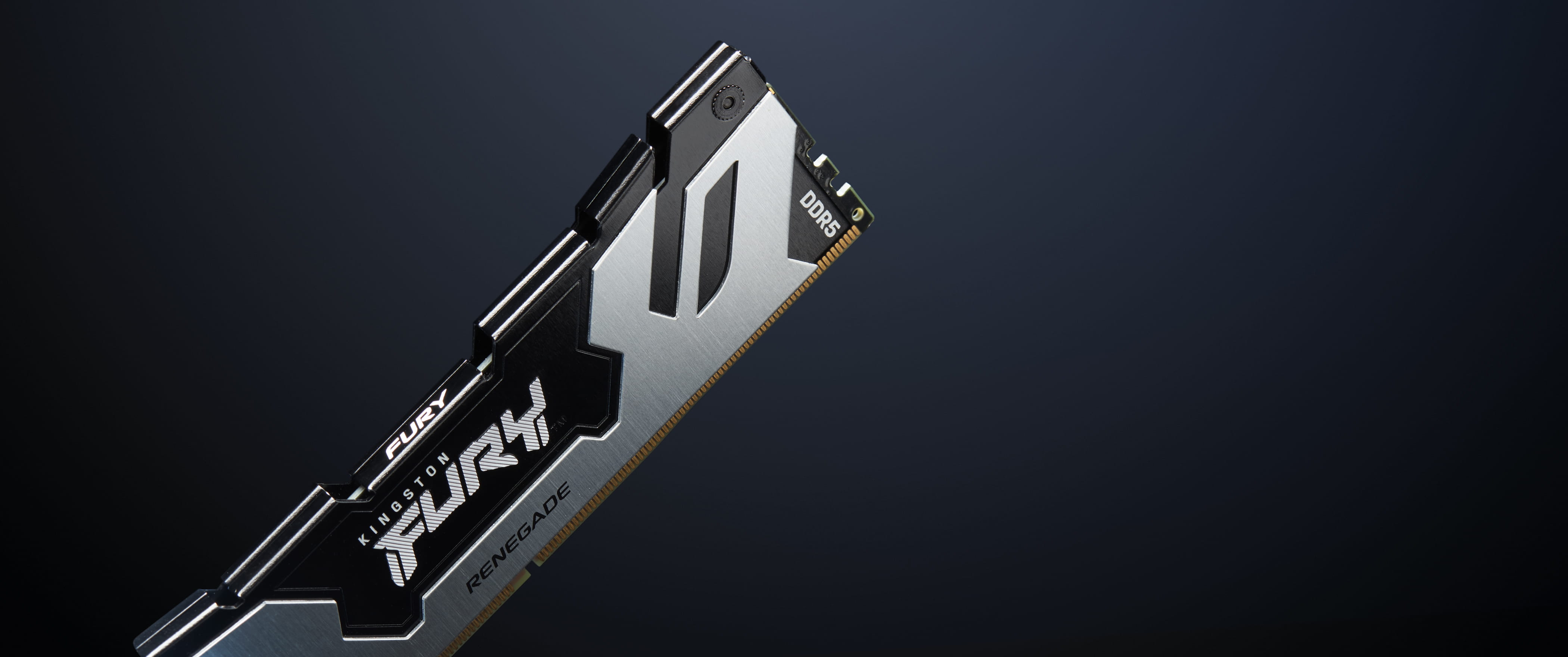 Kingston FURY Renegade Silver - DDR5 - Modul