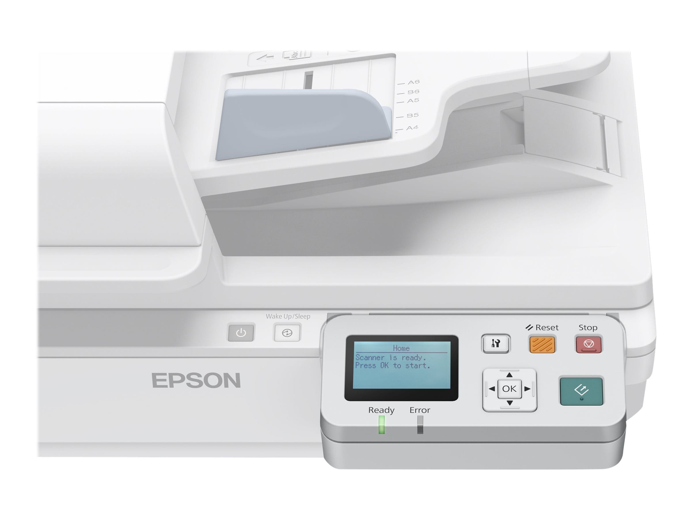 Epson Network Scan Module - Scannerserver - 10/100 Ethernet