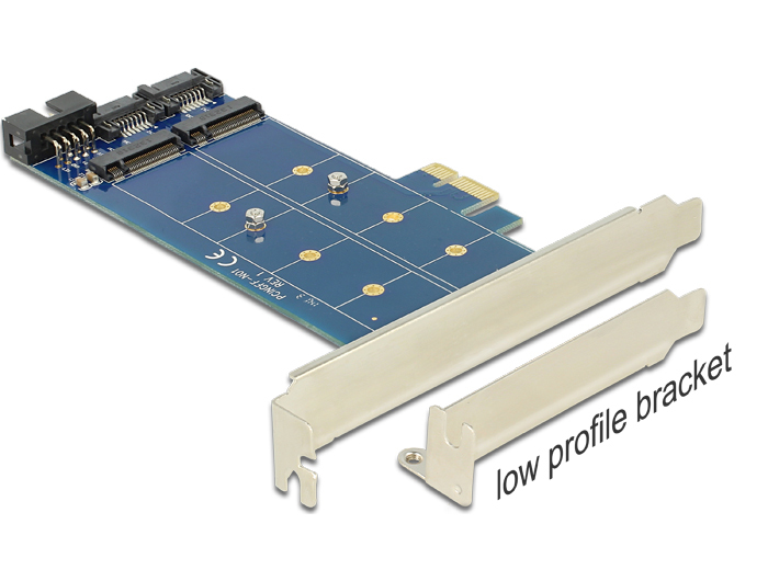 Delock PCI Express Card > 2 x internal M.2 NGFF