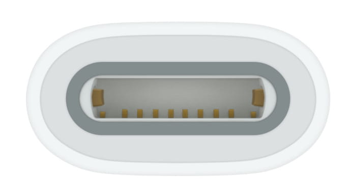 Apple Lightning Adapter - 24 pin USB-C weiblich zu Lightning weiblich - für 10.9-inch iPad (10. Generation)