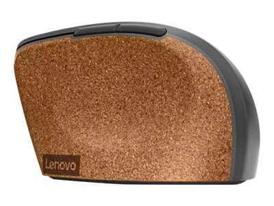 Lenovo Go - Maus - ergonomisch - optisch blau - 6 Tasten - kabellos - 2.4 GHz - kabelloser Empfänger (USB)