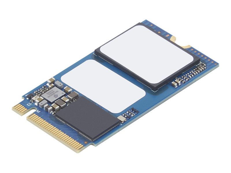 Lenovo SSD - 256 GB - intern - M.2 2242 - PCIe 3.0 x4 (NVMe)