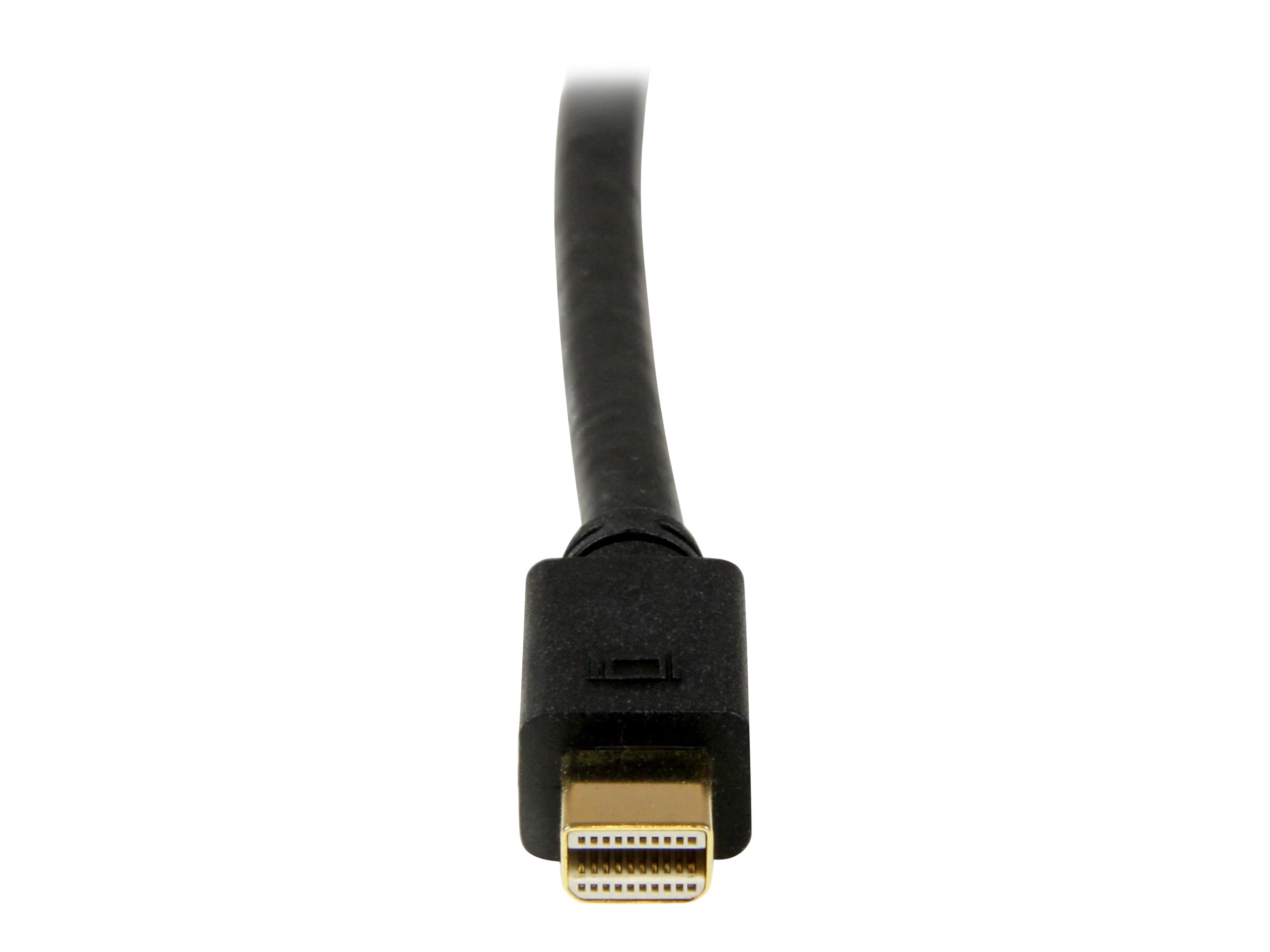 StarTech.com 3m Mini DisplayPort auf DVI Kabel (Stecker/Stecker)