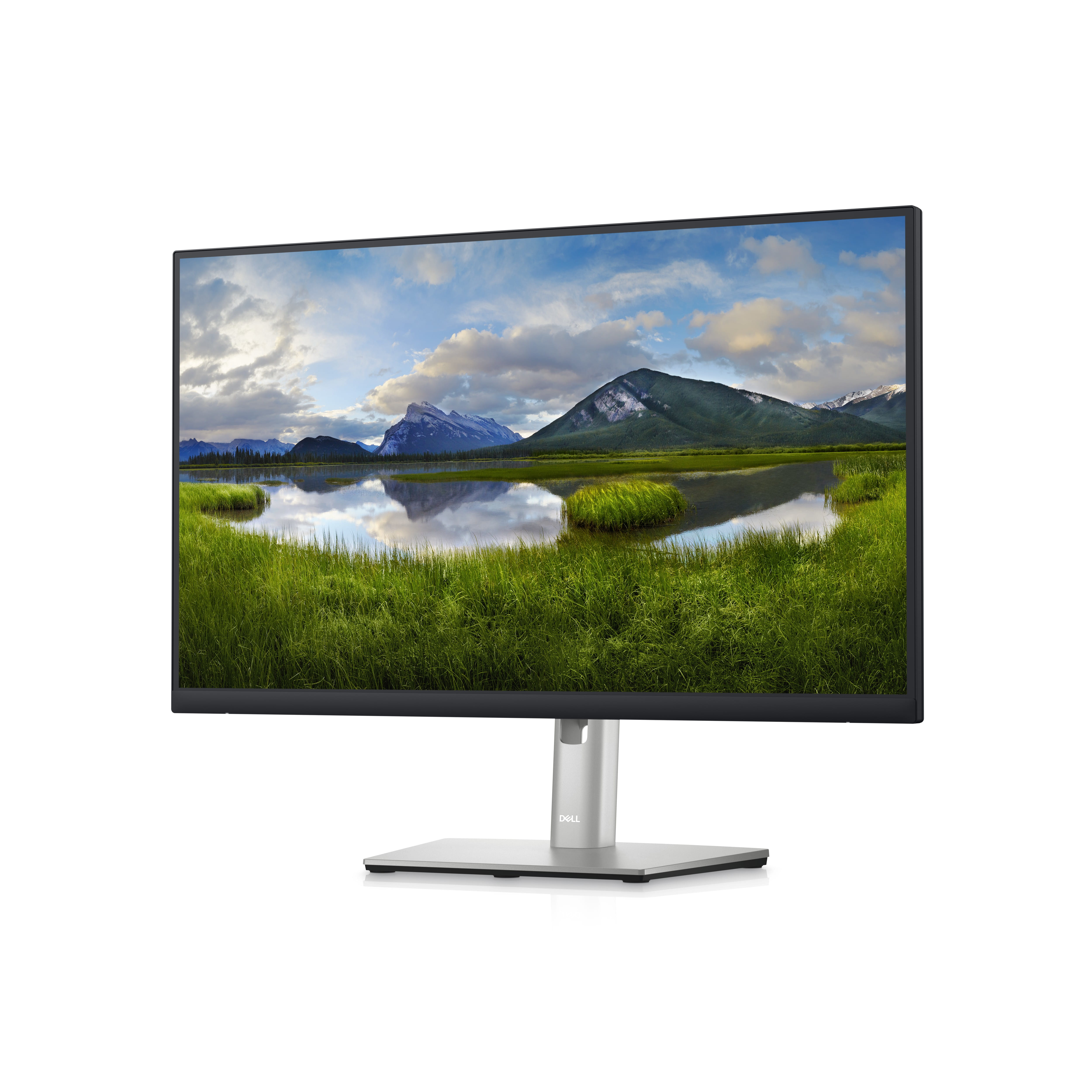 Dell P2423D - LED-Monitor - 60.5 cm (23.8") - 2560 x 1440 QHD @ 60 Hz
