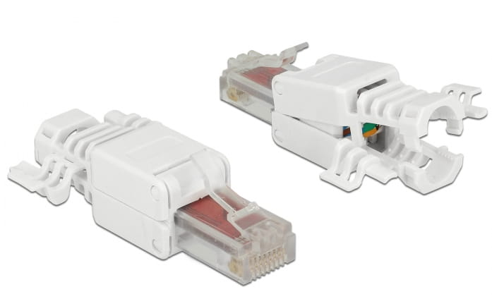 Delock Netzwerkanschluss - RJ-45 (M) - UTP - CAT 6 - (Anzahl pro Packung: 2)