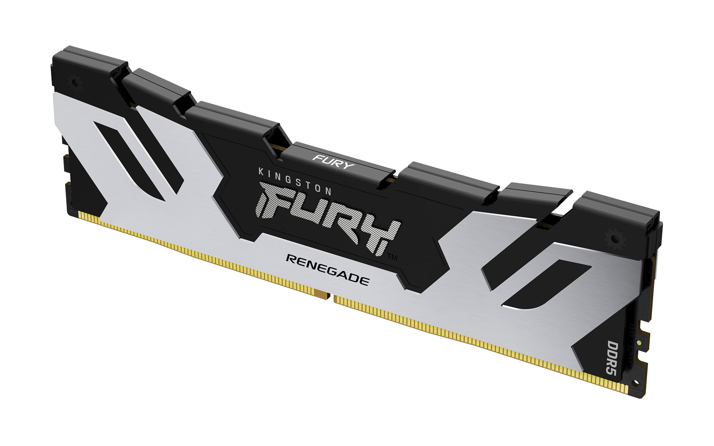 Kingston FURY Renegade Silver - DDR5 - Modul