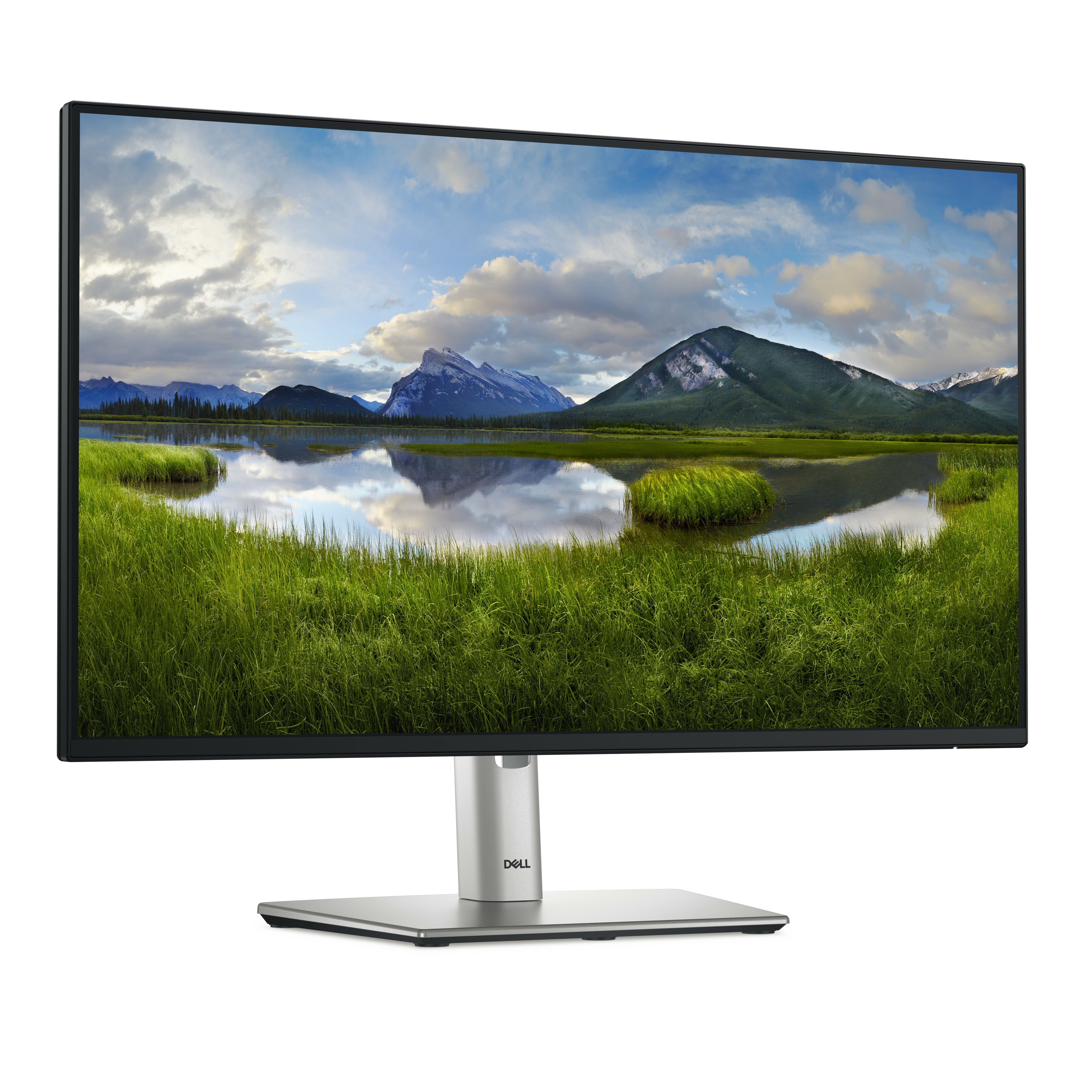 Dell P2425HE - LED-Monitor - 61 cm (24") (23.81" sichtbar)