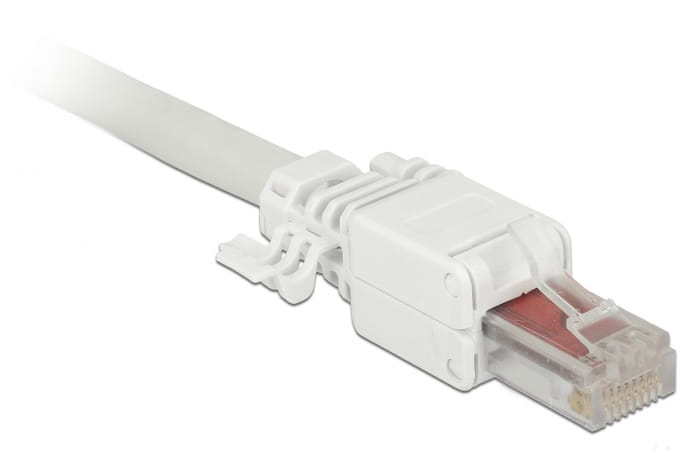 Delock Netzwerkanschluss - RJ-45 (M) - UTP - CAT 6 - (Anzahl pro Packung: 2)