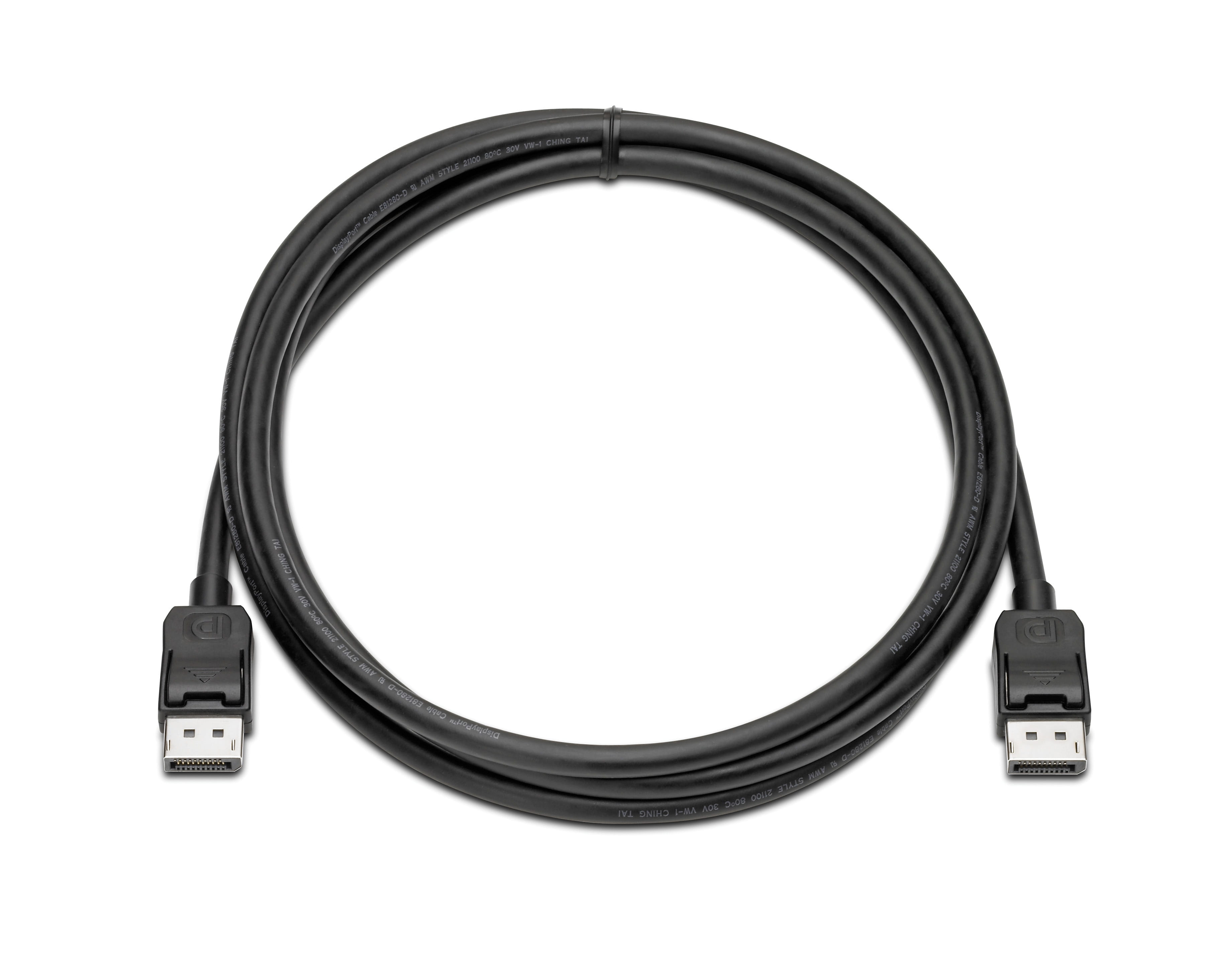 HP  DisplayPort-Kabel - DisplayPort (M) zu DisplayPort (M)