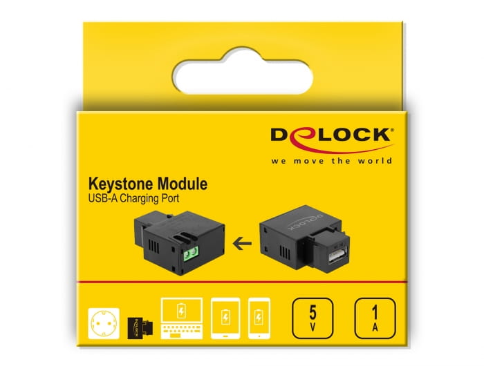 Delock Keystone module - Modulare Eingabe - USB-Ladefunktion