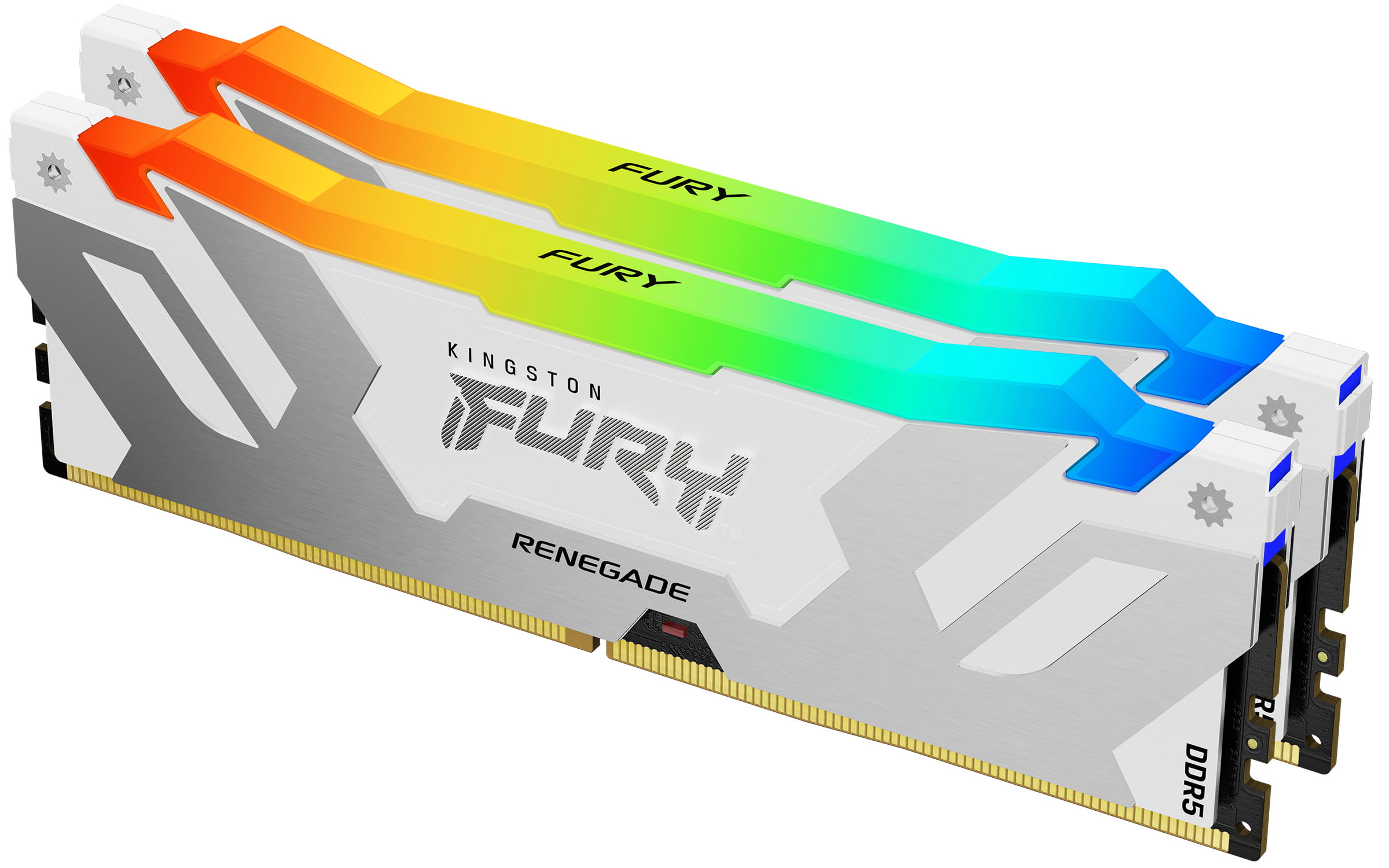 Kingston FURY Renegade RGB - DDR5 - Kit - 64 GB: 2 x 32 GB