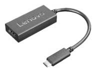 Lenovo Kabel / Adapter GX90R61025 1