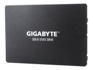 Gigabyte SSDs GP-GSTFS31256GTND 1