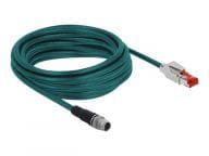Delock Kabel / Adapter 85428 3