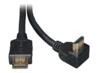 Tripp Kabel / Adapter P568-006-RA 1