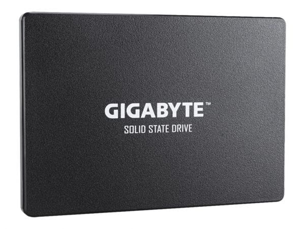 Gigabyte SSDs GP-GSTFS31480GNTD 2