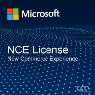 NCE/CSP SQL Server 2019 - 1 User CAL