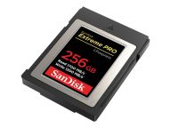 SanDisk Speicherkarten/USB-Sticks SDCFE-256G-GN4NN 3