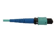 Tripp Kabel / Adapter N846B-05M-24-P 4