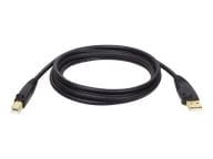 Tripp Kabel / Adapter U022-015 1