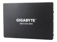Gigabyte SSDs GP-GSTFS31100TNTD 1