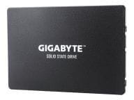 Gigabyte SSDs GP-GSTFS31256GTND 4