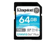 Kingston Speicherkarten/USB-Sticks SDG3/64GB 1
