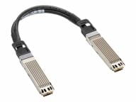 HPE Kabel / Adapter P45696-B21 1