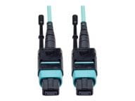 Tripp Kabel / Adapter N844-10M-12-P 1
