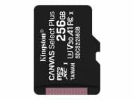 Kingston Speicherkarten/USB-Sticks SDCS2/256GBSP 2