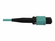 Tripp Kabel / Adapter N844X-01M-8L-P 2