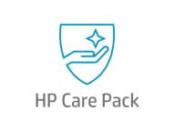 HP  HPE Service & Support U02KTE 1
