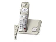 Panasonic Telefone KX-TGE250GN 2