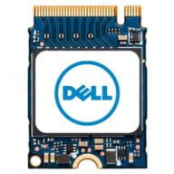 Dell SSDs AC280179 1