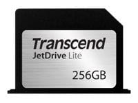 Transcend Speicherkarten/USB-Sticks TS256GJDL360 1