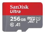 SanDisk Speicherkarten/USB-Sticks SDSQUA4-256G-GN6MA 1