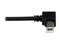 StarTech.com Kabel / Adapter USBAB1ML 4