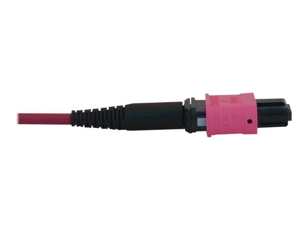 Tripp Kabel / Adapter N845B-02M-12-MG 4