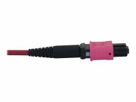 Tripp Kabel / Adapter N858B-30M-3X8MG 2