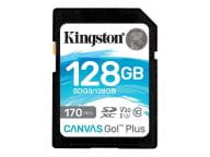 Kingston Speicherkarten/USB-Sticks SDG3/128GB 1