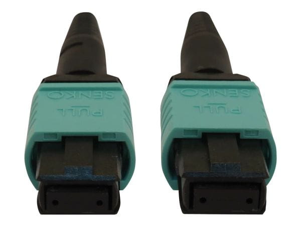 Tripp Kabel / Adapter N844B-10M-12-P 5