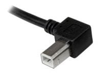 StarTech.com Kabel / Adapter USBAB2ML 4
