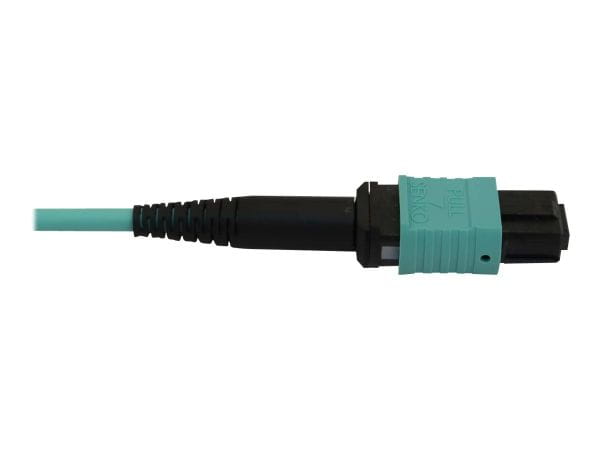 Tripp Kabel / Adapter N844X-02M-8L-P 4